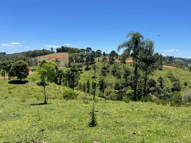 Terreno Rural  com 87.080 m² para venda no bairro Rio Vermelho Estação - São Bento do Sul/