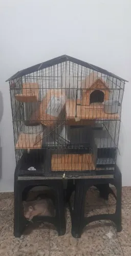 Gaiola para roedores