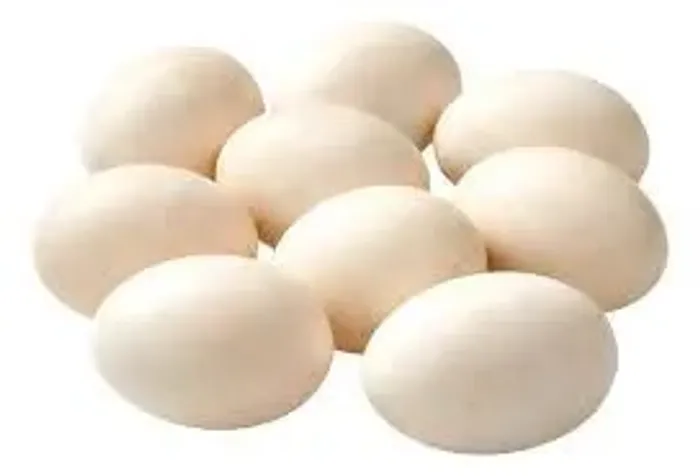 ? OVOS DE MARRECO ROUEN À VENDA! ?<br>