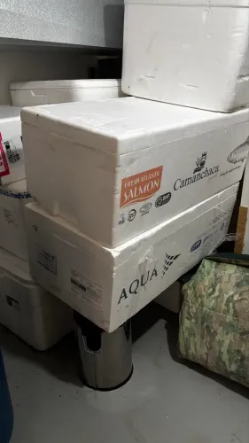 Caixa de isopor de salmão