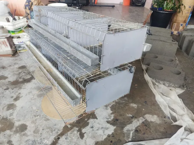 Gaiolas para codornas 