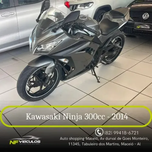 Kawasaki Ninja 300 2014