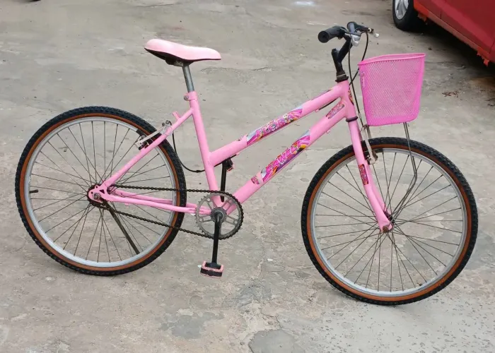 Bicicleta aro 24