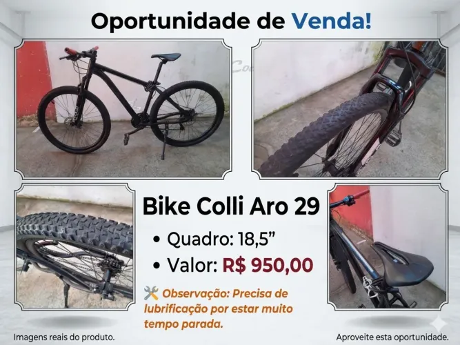 Bike colli aro 29 Quadro 18,5