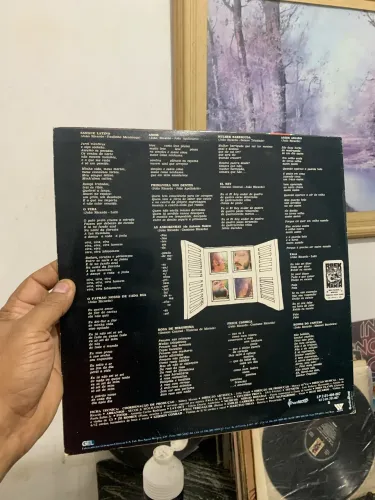 Disco de vinil Secos e Molhados