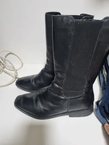 Bota
