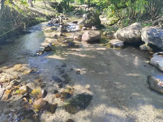 TERRENO À VENDA ENTRE Guapimirim E Cachoeiras de Macacu CAMINHO DA SERRA