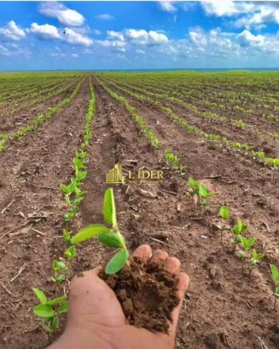 FAZENDA DE ALTA PERFORMANCE A 31 KM DE PARNARAMA - MA
