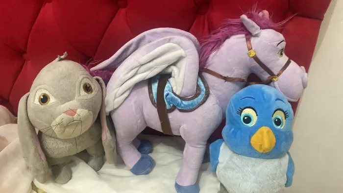 Princesa Sofia amigos Disney 