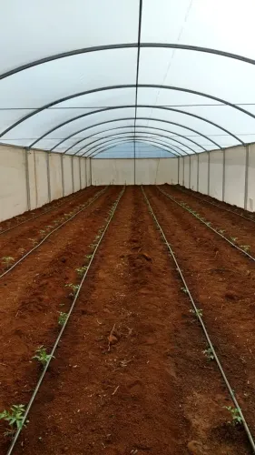 COBERTURA ARTICULADA / ESTUFA AGRÍCOLA
