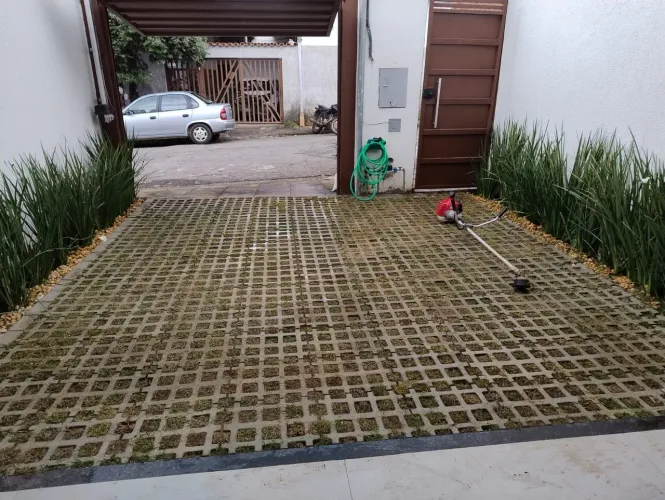 Jardinagem 