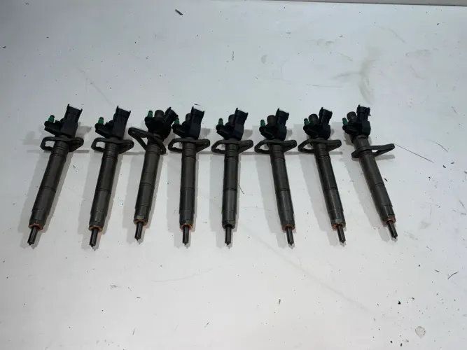 Bico Injetor Range Rover AH4Q9K546BB 0445116069 Bosch (CADA) 