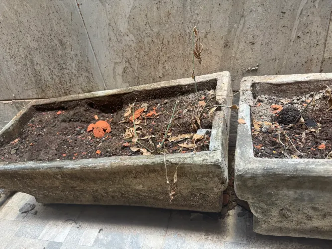 Vasos para jardim 