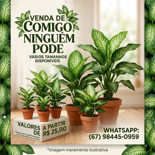 Comigo Ninguém Pode
