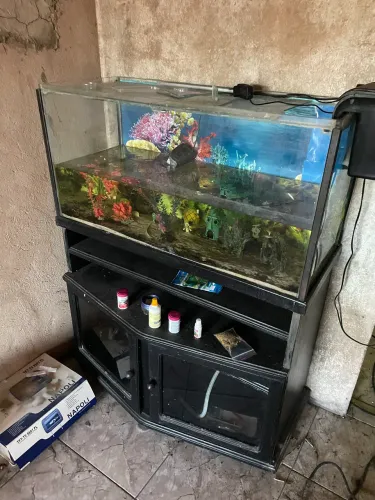 Aquário 200 Litros Completo Com Móvel De Compensado