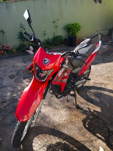 Moto bull