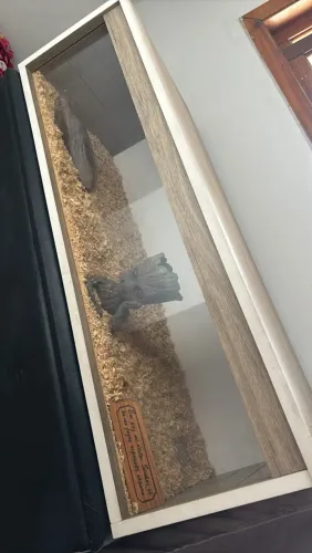 TERRÁRIO EM MDF E VIDRO