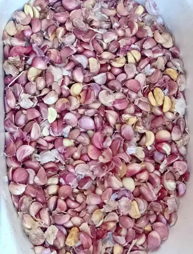 Alho roxo nacional