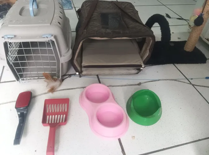 Kit completo para gatos.
