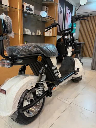 Scooter WD4 1000w Panda