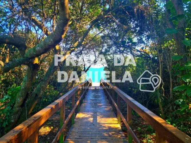 Terreno da Praia da Daniela.