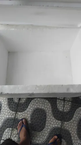 2 Caixa de isopor de 100 litros, cada