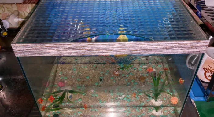 Aquario