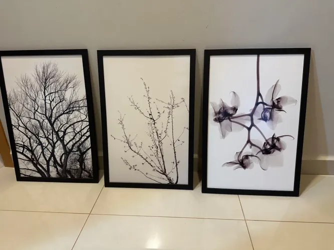 Kit 3 quadros decorativos