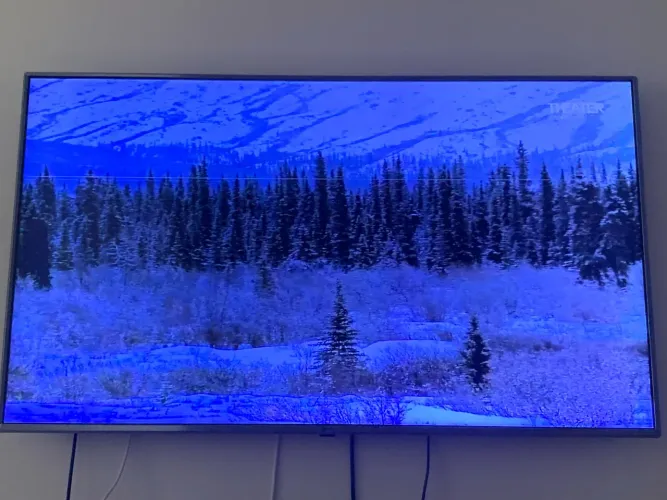 Tv LG 55 polegadas boa com pequena avaria