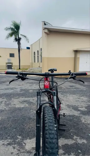 Absolute wild