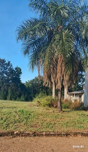 Oportunidade, lote quitado, tudo em dia