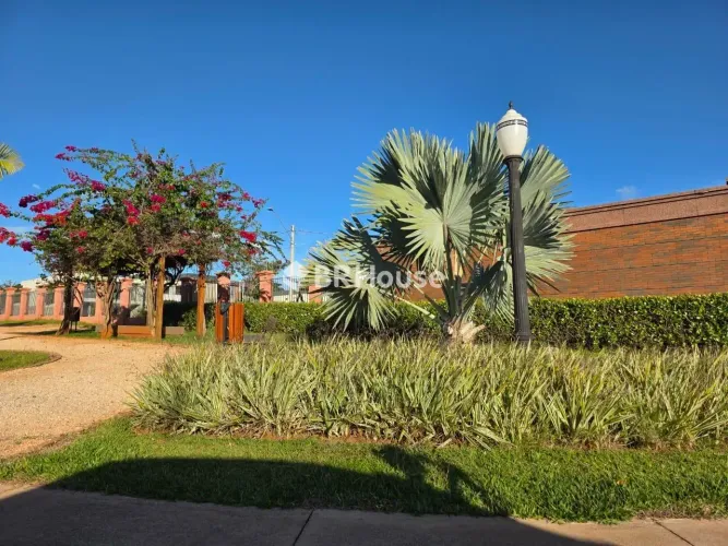 Setor Habitacional Tororó (Jardim Botânico) | Lote