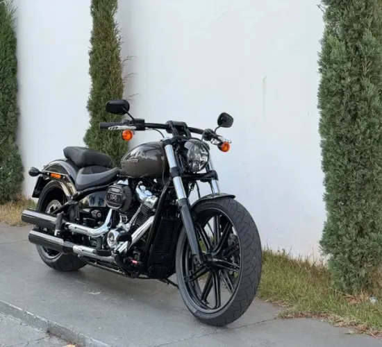 Harley-Davidson Breakout 114 Fxbr 2019