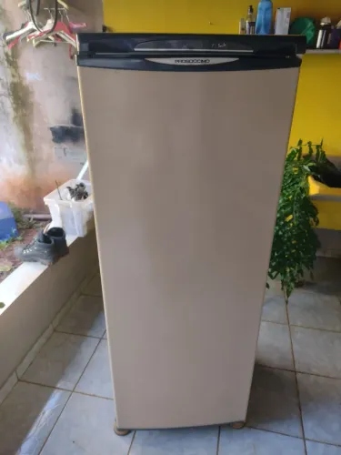 Freezer vertical Prosdócimo 