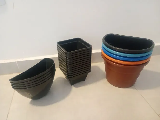 Vasos plantas