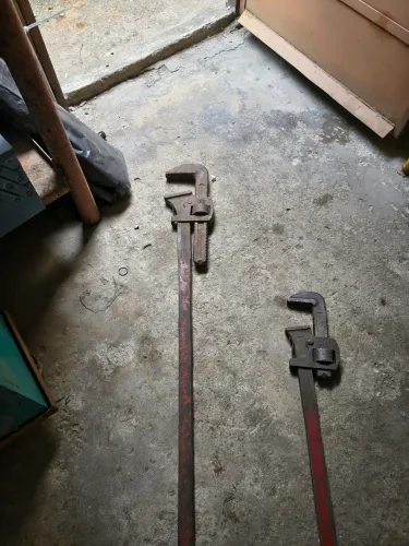 GRIFO NÚMERO 48