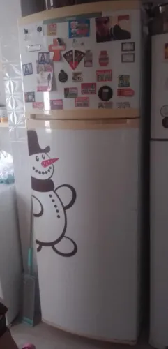 Geladeira FrostFree com deifeito