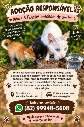 Gatinhos para Adoção Responsável 