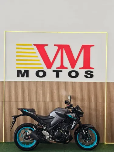Mt 03 abs 2025