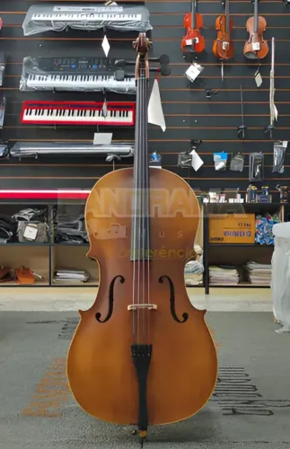 Violoncelo 