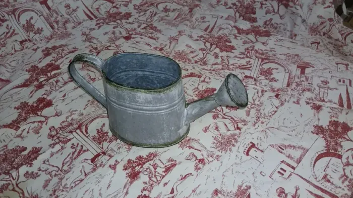  Regador Decorativo em Metal Galvanizado Estilo Vintage