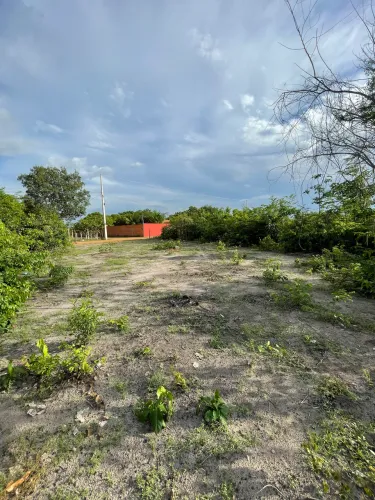 Terreno 10x30 em água Branca pi