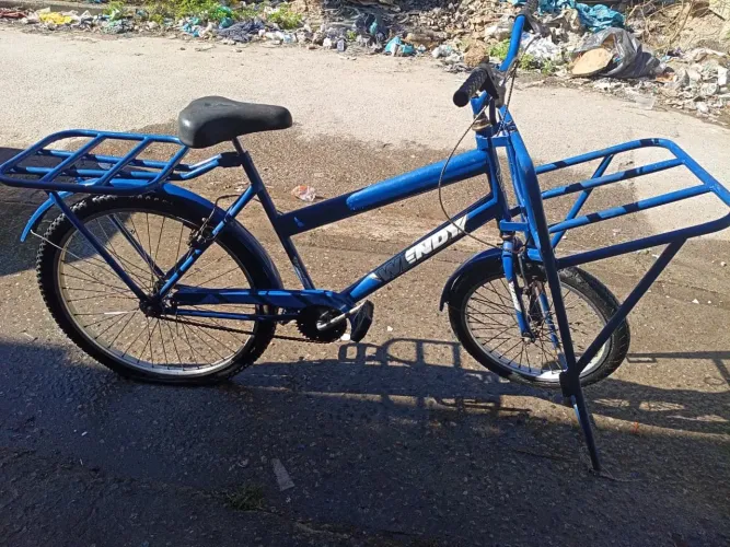 Bicicleta de carga 