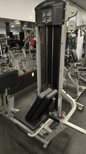 Leg horizontal lifefitness