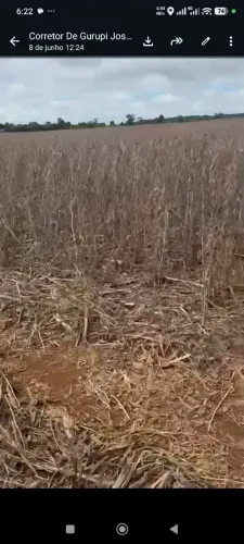 Fazenda arrendamento soja 1.820hec TO. Em AP. Do Rio Negro. + 500hec em pasto pra abrir
