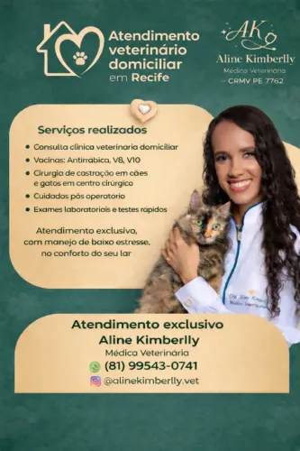 Atendimento médico veterinário domiciliar em Recife e região metropolitana 