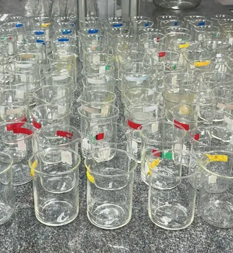 200 COPOS DE BECKER 250 ML