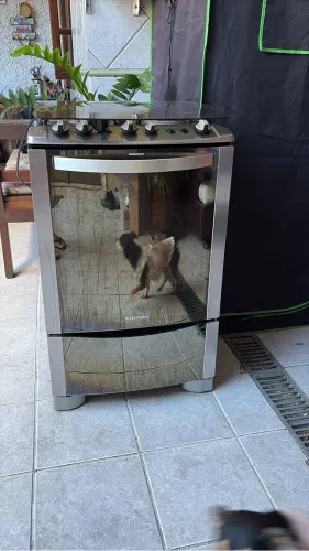 Fogão 4 bocas