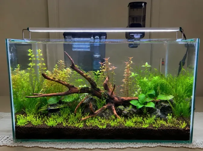 Aquario 37.5l completo