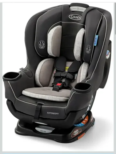 Cadeira infantil Graco 4Ever Extend2fit 4-in-1 Wizz clove